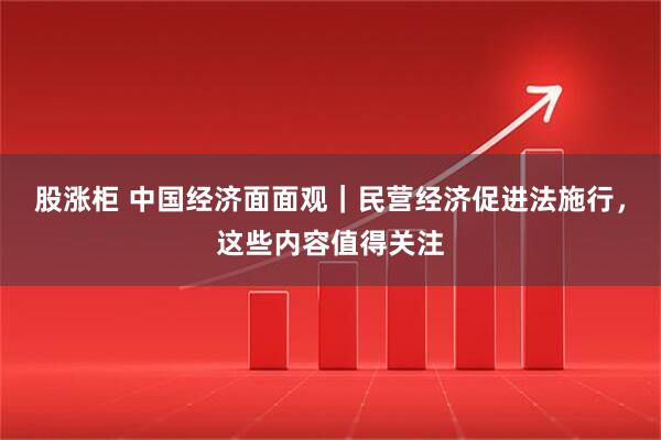 股涨柜 中国经济面面观｜民营经济促进法施行，这些内容值得关注