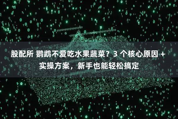 股配所 鹦鹉不爱吃水果蔬菜?3 个核心原因 + 实操方案,新手也能轻松搞定